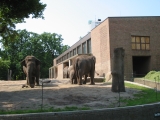 Zoo